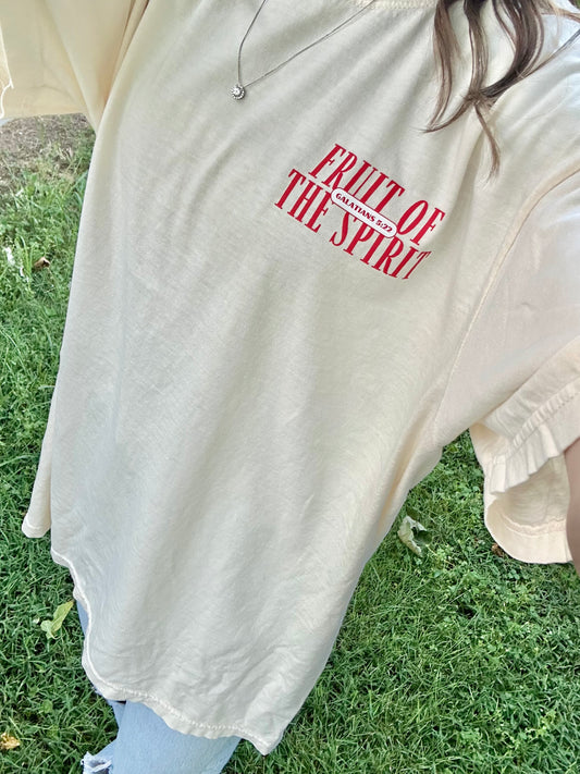 Fruit Of The Spirit Galatians 5:22 Tee